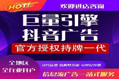 某电商平台的SEM广告投放策略及效果评估